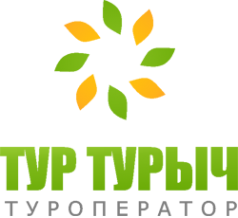 Логотип компании Тур Турыч