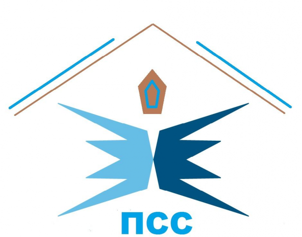 Логотип компании Профессиональные строительные системы