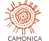 Логотип компании Строй-Камоника