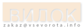 Логотип компании ВИДОК