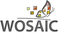 Логотип компании Wosaic