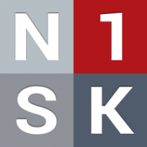 Логотип компании N1SK
