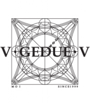 Логотип компании Архитектурное бюро Вячеслава Гедуева