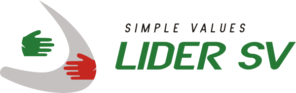 Логотип компании Лидер СВ