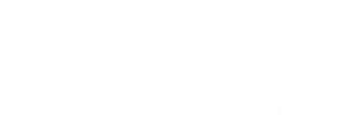 Логотип компании Домашний Оазис