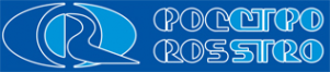 Логотип компании РОССТРО