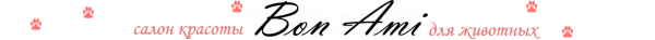 Логотип компании Bon Ami