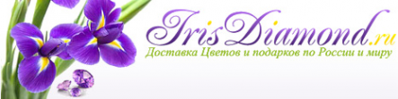 Логотип компании IrisDiamond