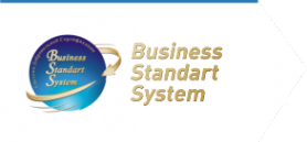 Логотип компании Business Standart System
