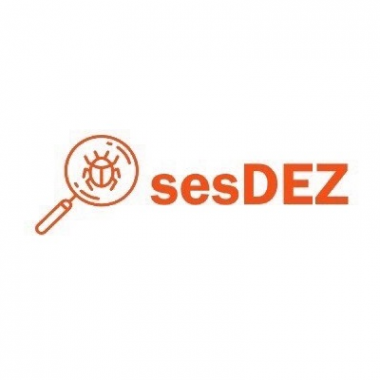 Логотип компании Sesdez.com