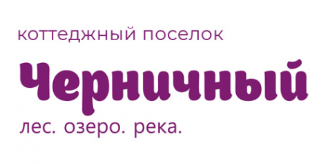 Логотип компании ДНП Черничный